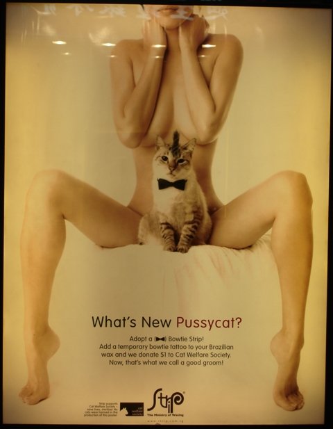 Masterful marketing