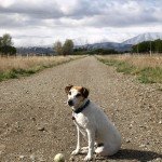 Ben on the rail trail