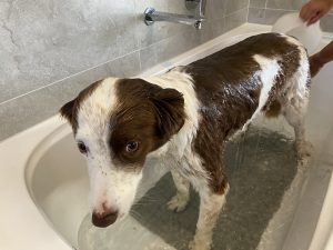 Lola Bathtime
