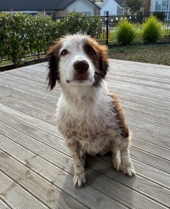Lola Fresh from the towel