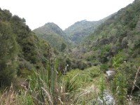 Rongomai Ridge from Careys Creek