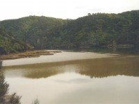 Taieri reflection (Elaine pic)