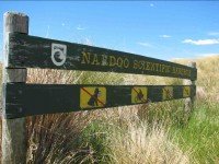 Nardoo sign