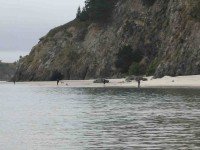 Fishers at Doctors Point