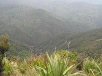 Looking down Blue Gums Ridge