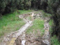 Mud