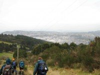 Dunedin