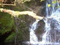 Craiglowan Falls