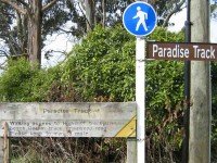 Paradise Track signs