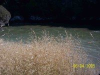 High tide at Bull Creek. No crossing today!