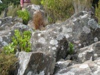 Boulders
