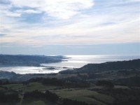 Blueskin Bay from Telegraph Track