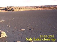 030528.Salt Lake4
