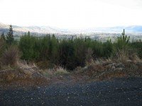 Taieri Plain