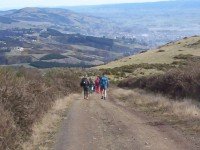 Mosgiel from Friends Hill