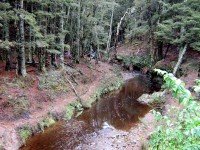 Woodside Creek