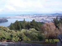 Dunedin from Centennial Memorial