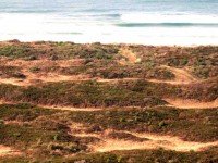 View Towards Beach from the Larger Pyramid