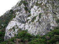 Striations on nearby cliff
