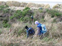 Through dunes to beach