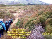Okia Reserve Track. Dot? in rear.