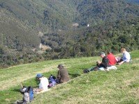 Morning tea on the paddock.