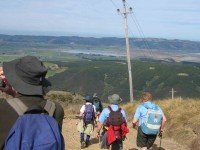 Start Kowhai Spur. Ken.