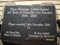 The plaque