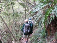 Walking across headwaters from Moon on one side to Nicols Track on the other.