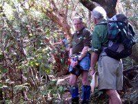 Rest stop in Bush on Davies Track.