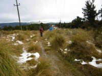 2. Looking back along Poleline track. (Ken pic and caption)