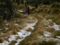 3. Trudging through the snow grass. (Ken pic and caption)