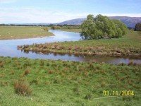 Silverstream mouth