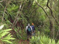 Track down Careys Creek. George, Ken.