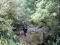 One of many stream crossings. George, Ken