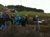 Marsh start