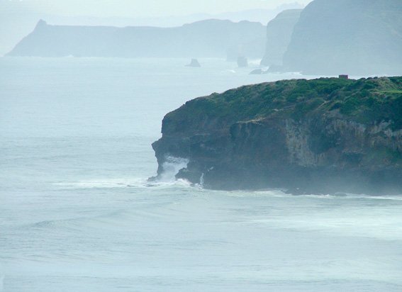 Lawyers Head