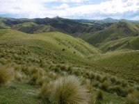View from morning tea stop of Mt. Watkin in the distance. (Ken pic and caption)