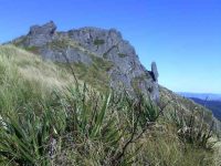 Pulpit Rock. (Helen pic and caption)