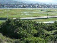 Race Course