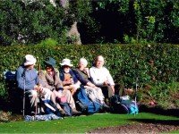 Last of the summer wine