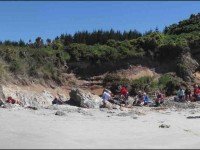 Lunch panorama