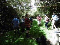 1 Morning tea spot at start of Burns track. (Ken pic and caption)