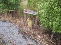 Tanners View sign. (John pic)