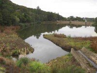 Morning tea. (John pic.)