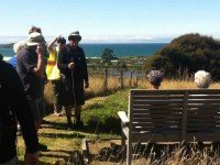 The seat at the to of the QEII bush walk