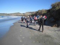 Along the beach. (John pic)