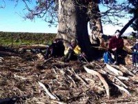 Logs to sit on. (Panorama)