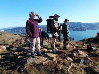 1 Atop Harbour Cone admiring the stunning views