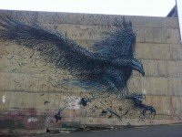 Haast Eagle